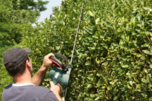 Unser Hausmeisterservice in Velbert auch bei Ihnen im Garten Hausmeisterservice Velbert - Garten